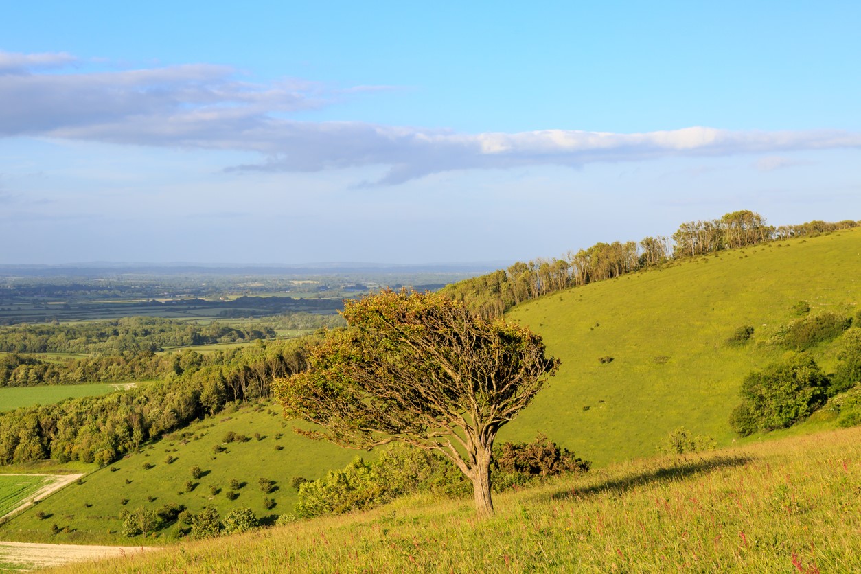 Government releases National Policy Statement for Highly Productive Land